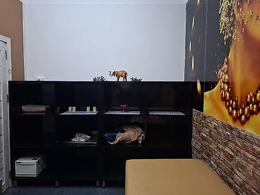Salon, tibbi mebel: İşlənmiş, Masaj kuşetkası — 2
