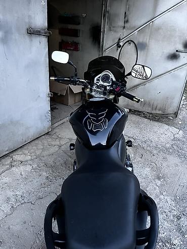 hornet: Naked Honda, 600 куб. см, Бензин, Взрослый, Новый — 3