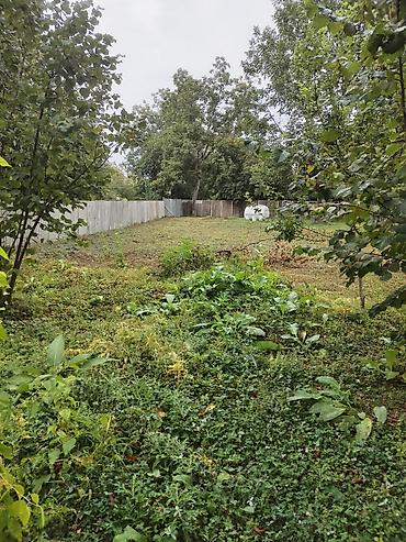kreditle torpaq sahesi: 31 sot, Tikinti, Kupça (Çıxarış) — 7