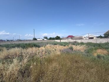 Torpaq sahələrinin satışı: 12 sot, Kupça (Çıxarış) — 2