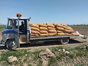 Услуги эвакуатора: С лебедкой — 24