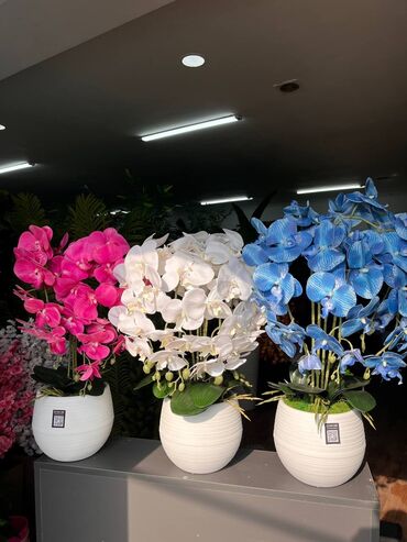 Декоративные цветы: Искусственные деревья и цветы — долговечный и стильный декор без at lalafo.kg — 14 Декоративные цветы: Искусственные деревья и цветы — долговечный и стильный декор без — 14