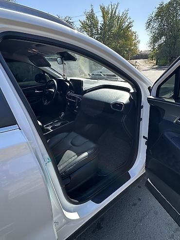 хюндай грета: Hyundai Santa Fe: 2019 г., 2.2 л, Автомат, Дизель, Кроссовер — 6