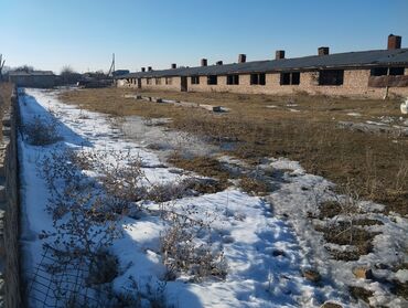 Сельхоз предприятия: Продаётся кошара 1500м2 с отдельным жилым домом 100м2 (внутри баня ) — 7