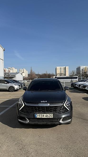 Kia: Kia Sportage: 2022 г., Кроссовер — 1