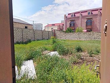 Torpaq sahələrinin satışı: Tikinti — 5