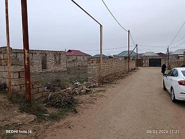 berde: Tikinti — 6