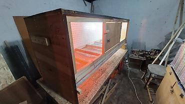 Товары и оборудование для с/х животных: Брудеры для цыплят утят гусят индюшат фазанов павлинов, домашние — 14