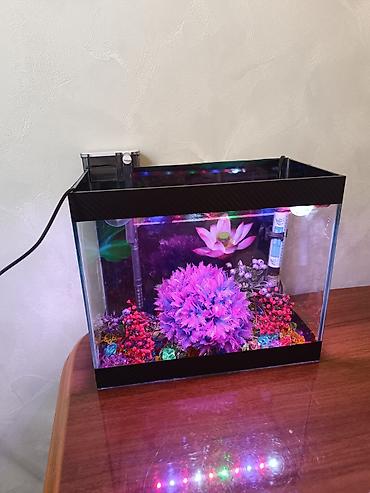 vakum su pompası: 11 litr akvaryum boş 12 mana
tam dolu 35 man — 3