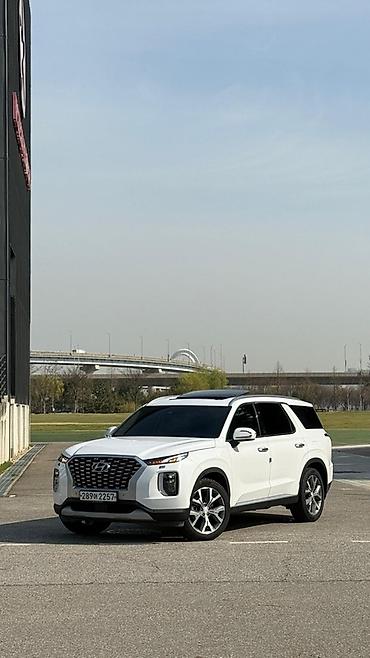 palisade 2019: Hyundai Palisade: 2019 г., Автомат, Дизель, Кроссовер — 2