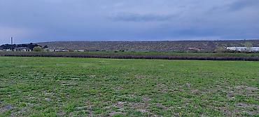 Torpaq sahələrinin satışı: 200 sot, Kənd təsərrüfatı — 8