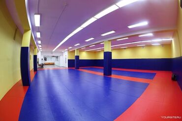 Другое для спорта и отдыха: Татами ковры мат борцовские ковры борцовские маты изготовление спорт — 4