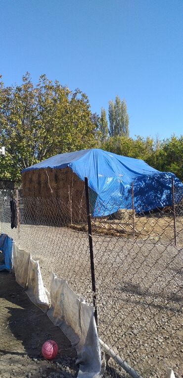 Həyət evləri və villaların satışı: 5 otaqlı, 150 kv. m, Yeni təmirli — 8