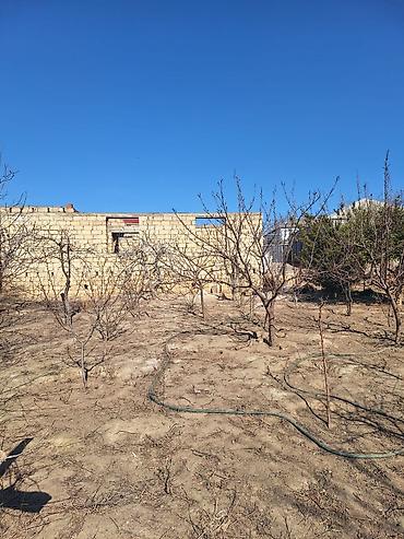 Torpaq sahələrinin satışı: Kənd təsərrüfatı — 4