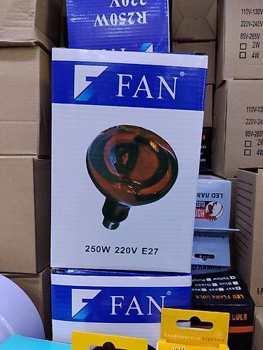 Инфракрасная лампа FAN, 250 Вт, 220 В, цоколь E27. - Тип
