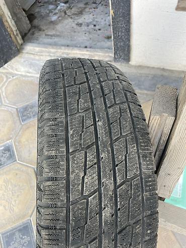 185 65: Шины 195 / 65 / R 15, Зима, Новый, Комплект, Легковые, Pirelli — 3