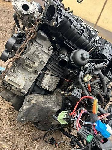bobina engleski: MOTOR F10,11 2.0 184KS ZA BMW SERIJA 5 | Na stanju novi i polovni — 1