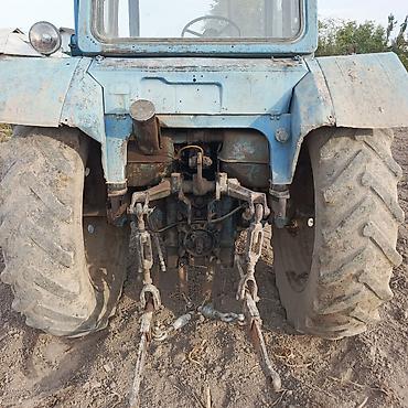 Капуста: Капуста — 11