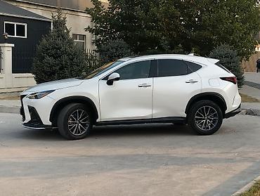 узген бу: Lexus NX: 2022 г., 2.5 л, Автомат, Бензин, Кроссовер — 7