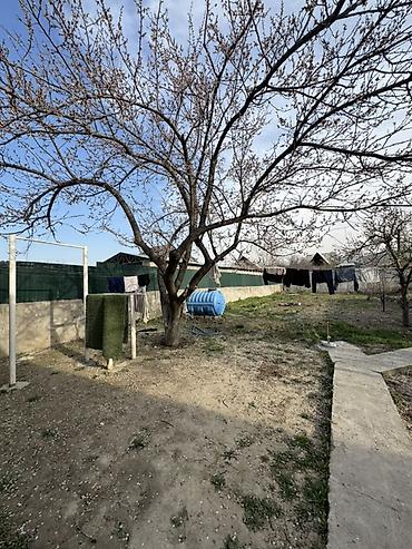 Продажа коттеджей и домов: Продаётся 3-комнатный дом в районе Арча-Бешик (ул. Чортекова, рядом с — 3