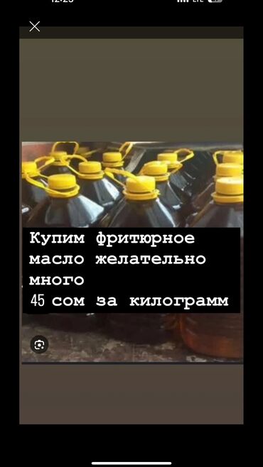 фритюрное масло бишкек: Принимаем фритюрное Масло без мусора 45 сом за килограмм будем