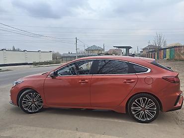 Kia: Kia K3: 2019 г., 1.6 л, Автомат, Бензин, Хэтчбэк — 5