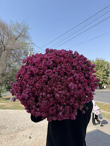 цветы срочно: 🌸 ТРЕБУЮТСЯ ФЛОРИСТЫ 🌸 📍 Открыта вакансия флориста — Со знанием — 1