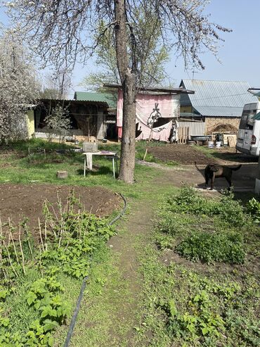 Продажа домов: Дача, 54 м², 3 комнаты, Собственник, Косметический ремонт