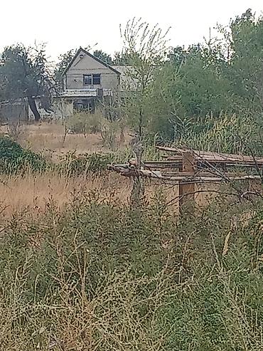 куплю черешню: Продаётся дом/дача с участком. Описание объекта: - Двухэтажный дом — 8