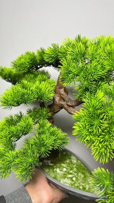 Süni güllər: Süni bonsai ağacı – dekorativ içməkan yaşıllaşdırma üçün - Realistik — 26