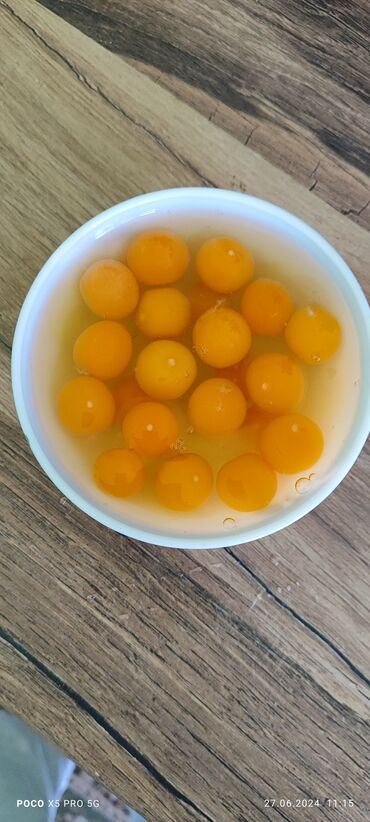 яйца кур: Яйцо перепёлка сломанный 
по 3 сом