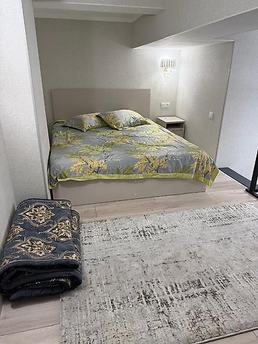 Продажа квартир: 1 комната, 29 м², Аламедин-1 мкр Элитка, 2 этаж, Свежий ремонт — 6