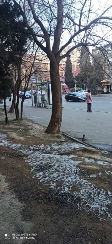 Ofislər: Yasamal rayonu, İran klinikasının yanında yerləşən 9 mertebenin 1-ci -da lalafo.az — 13 Ofislər: Yasamal rayonu, İran klinikasının yanında yerləşən 9 mertebenin 1-ci — 13