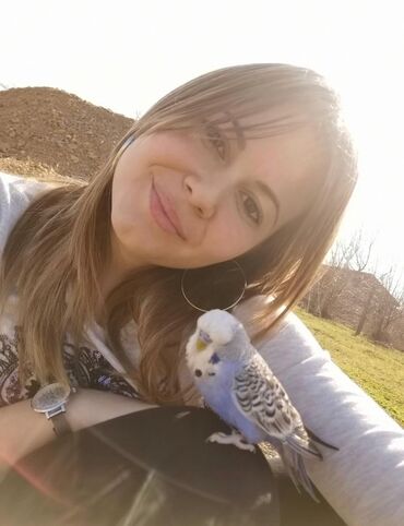 Oprema za kućne ljubimce: Povodci za papagaje – sigurnost, sloboda i poverenje u jednom! — 3