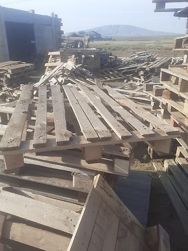 paddon satılır: Taxta paletlər – istehsal və topdansatış - Material: iynəyarpaq və — 2
