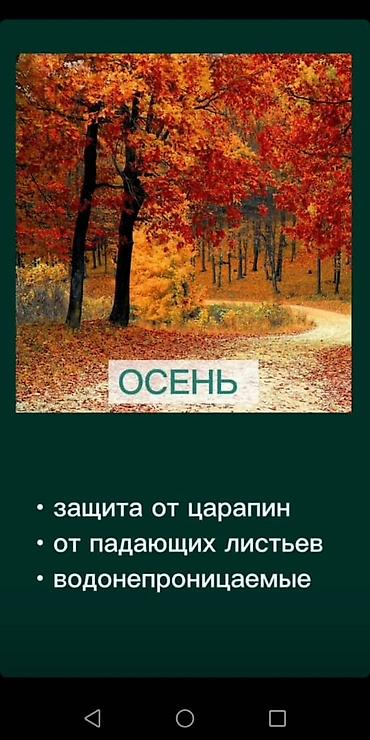 Тенты: Универсальный тент Для легковых авто — 5