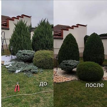 Газон: Поссев газон✓ Посадка цветов ✓ Посадка декоративных растений ✓ — 7