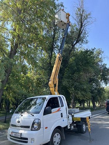 Автовышка, Kia, 10 м