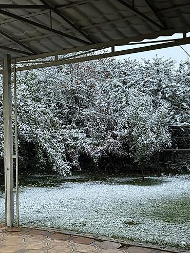 Продажа дач: Село Арашан (рядом с Royal Fish) • Площадь участка — 4.5 соток Площадь — 26