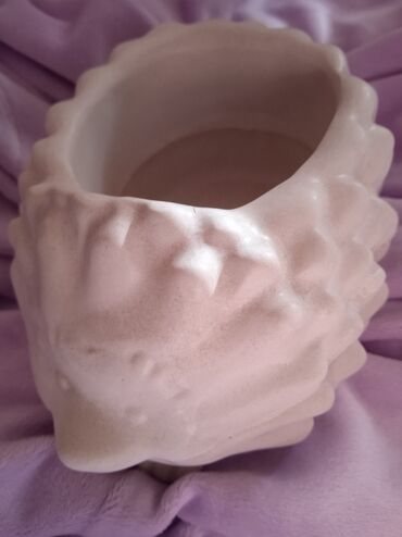 Figure: Figura, bоја - Bela, Novo — 5