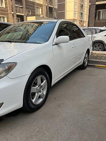 тойота камри 2005: Toyota Camry: 2005 г., 2.4 л, Автомат, Газ, Седан — 1