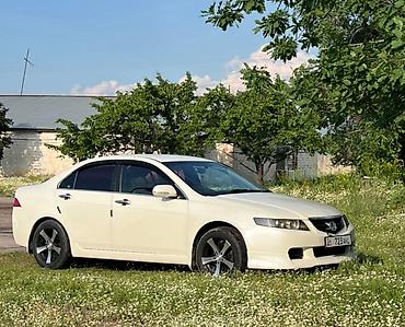 Продажа авто: Honda Accord: 2003 г., 2 л, Автомат, Бензин, Седан — 3