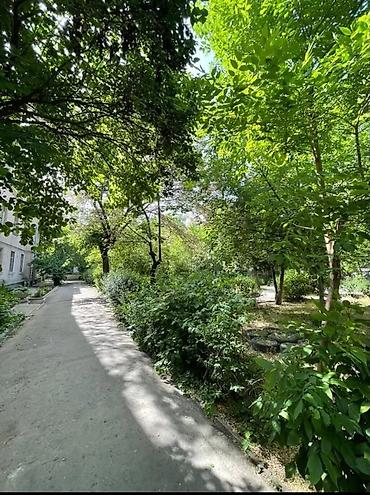 3х: 3 комнаты, 60 м², Золотой квадрат Сталинка, 3 этаж, Косметический ремонт — 2