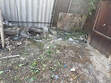 уборка огород: Уборка территории - Вывоз и утилизация мусора, старых досок, веток — 4