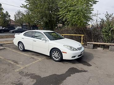 прес класс: Toyota Windom: 2003 г., 3 л, Автомат, Бензин, Седан — 3