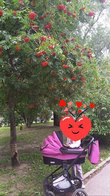 продаю в связи с переездом: Коляска, цвет - Розовый, Б/у