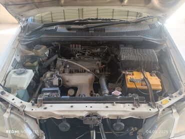 Toyota: Toyota : 2000 г., 2 л, Автомат, Бензин, Минивэн — 10