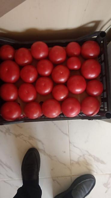 daş duz satışı: Yerli mehsullardir 1 kaset 3.50 dir. Kasetinde biri 9 kilodur. Yeni — 1