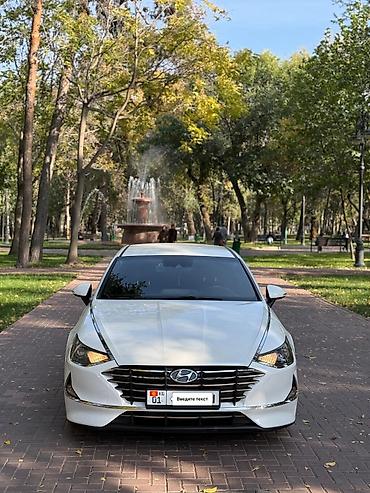 соната лизинг: Hyundai Sonata: 2020 г., 2 л, Автомат, Газ, Седан — 3