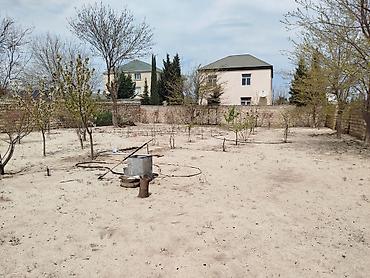 goradil: 10 sot, Tikinti, Maklerlər narahat etməsin, Kupça (Çıxarış) — 1